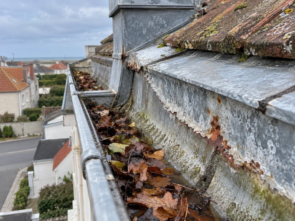 Chéneau en zinc corrodé et gouttière obstruée par des feuilles à Blériot-Plage